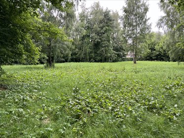 Działka z jeziorem i pozwoleniem na budowę, 58 417 m² działka Konstancin-Jeziorna, Konstancin-Jeziorna