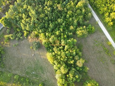 działka na sprzedaż 2543m2 działka Nowe Miasto nad Pilicą, Pobiedna, Pobiedna