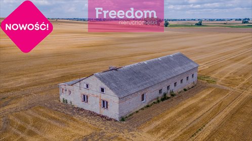 Magazyn na wynajem Panigródz 1 850m2 Foto 4