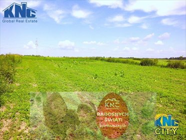 działka na sprzedaż 13500m2 działka Lublin, Trześniów