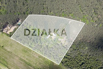 działka na sprzedaż 35000m2 działka Wola Władysławowska