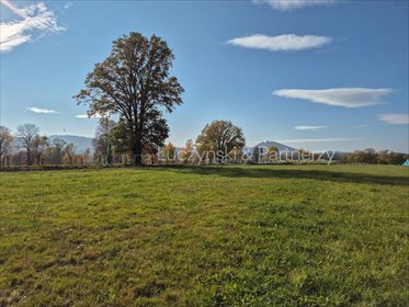 działka na sprzedaż 1682m2 działka Janowice Wielkie