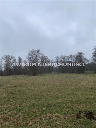 Działka 1543 m² z warunkami zabudowy - cicha okolica działka Budy Zosine
