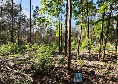 działka na sprzedaż 1656m2 działka Warszawa, Wawer Radość