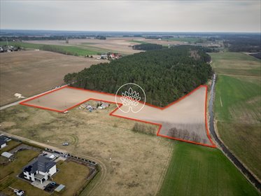 Na sprzedaż działka 1,68 ha z lasem pod inwestycję w Zazdrości działka Zazdrość