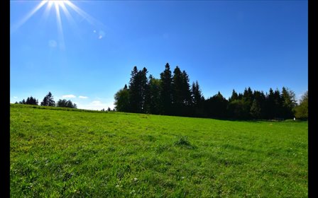działka na sprzedaż 928m2 działka Werlas