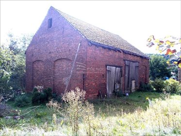 Lokal użytkowy na sprzedaż Pławna Dolna 806m2 Foto 5