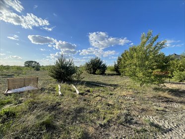 Polecam działkę 704 m² w Żyrardowie z planem zagospodarowania działka Żyrardów
