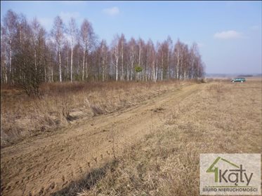 Działka rolna na sprzedaż Czarny Kierz, Czarny Kierz, Czarny Kierz 16 500m2 Foto 1