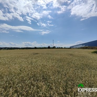 działka na sprzedaż 9711m2 działka Kruszów, Trybunalska