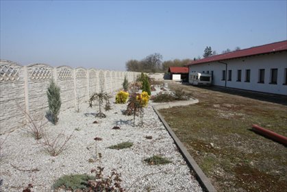 lokal użytkowy na sprzedaż 460m2 lokal użytkowy Czerlejno