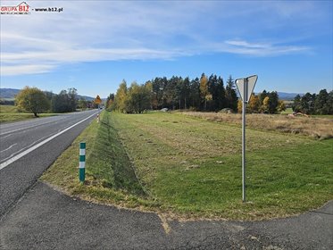 Działka inwestycyjna 1235 m² przy drodze nr 7 zapraszam działka Raba Wyżna, Raba Wyżna, Raba Wyżna