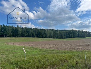 Działka 3 000 m² z dostępem do jeziora i plaży. działka Małe Leźno