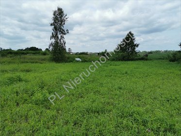 działka na sprzedaż 3384m2 działka Falenty Nowe