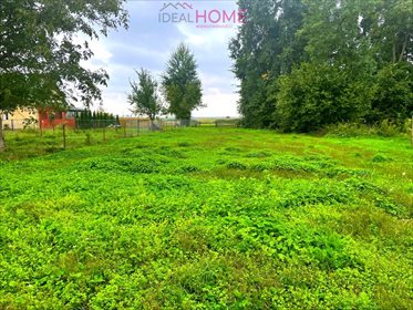 Działka budowlana na sprzedaż Dąbrowica 3 500m2 Foto 4