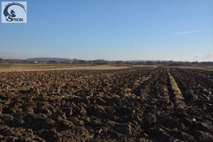 Działka rolna 3 800 m² z mediami i planem zabudowy działka Miejsce
