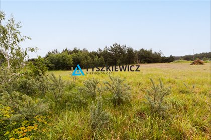 działka na sprzedaż 3001m2 działka Nowa Kiszewa