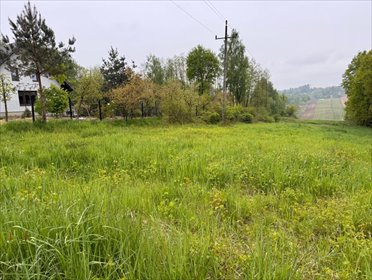 działka na sprzedaż 7900m2 działka Krzęcin