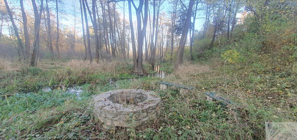 Działka budowlana na sprzedaż Zdów, Źródlana 32 295m2 Foto 6