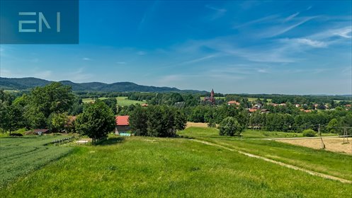 działka na sprzedaż 3200m2 działka Wysoka Strzyżowska