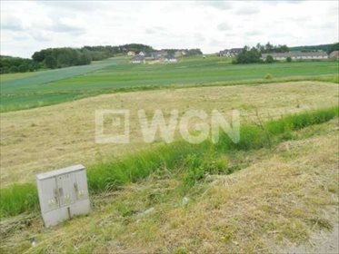 Działka budowlana na sprzedaż Smardzów, Smardzów 2 158m2 Foto 2