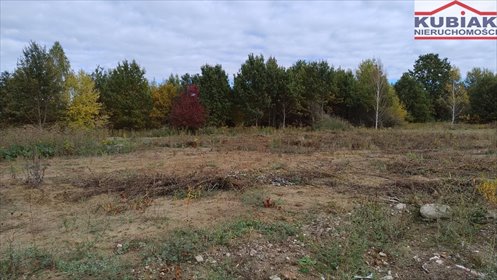 działka na sprzedaż 1000m2 działka Żabia Wola