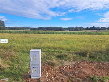 Działka inwestycyjna 6600 m² z możliwością podziału działka Pierzchnica, Drugnia