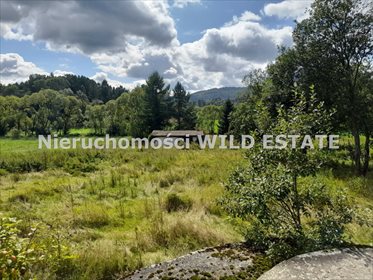 działka na sprzedaż 5700m2 działka Solina, Rajskie