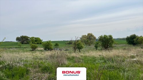 działka na sprzedaż 11132m2 działka Plöwen