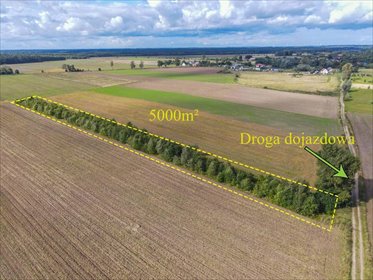 Sprzedam działkę rolną 0,5 ha w Białogórzynie działka Białogórzyno