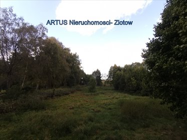 Działka 4489 m² z dostępem do strumienia - idealna pod rekreację! działka Złotów, Złotów