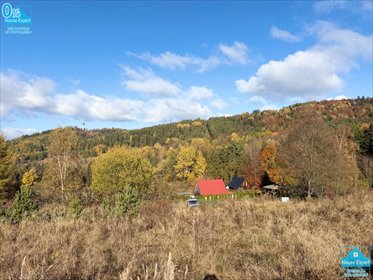 działka na sprzedaż 1152m2 działka Krynica-Zdrój