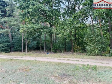 Polecam działkę 3600 m² w Powązkach - przyszłościowa inwestycja działka Powązki