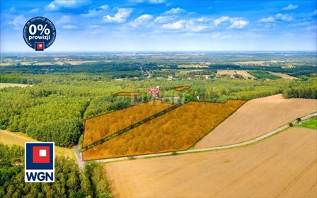 Działka 33 031 m² pod inwestycję turystyczną - polecam! działka Dąbrowa, Hanuszkiewicza
