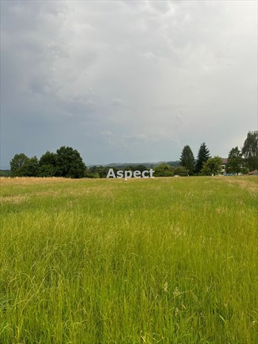 działka na sprzedaż 1063m2 działka Pogwizdów