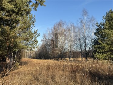 działka na sprzedaż 9000m2 działka Lipowo, Armii Krajowej