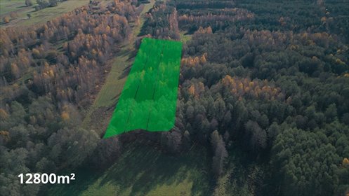działka na sprzedaż 12800m2 działka Józefów Widawski