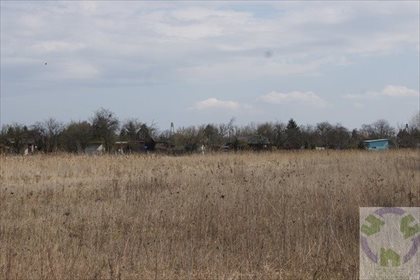 działka na sprzedaż 6004m2 działka Gdańsk, Olszynka, Olszyńska