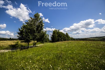 działka na sprzedaż 7549m2 działka Harta