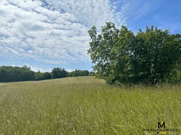 Malownicza działka 119 847 m2 z lasem i łąkami - blisko Kołobrzegu działka Sianożęty, Kukinka