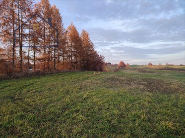 Działki rolne 4,03 ha w Mostkowie - polecam działka Mostkowo