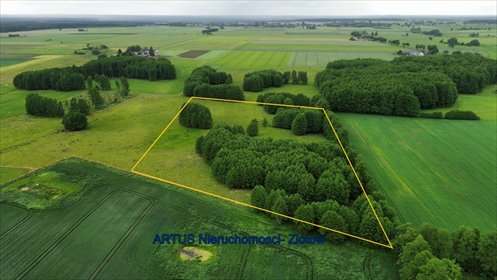 Grunt rolny 2,72 ha z możliwością wycinki drzew - Tarnówka działka Sokolna, Sokolna
