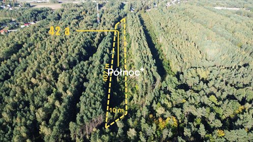 Sprzedam działkę leśną 42 ar w Bogorii z dostępem do drogi działka Bogoria