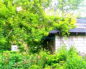 dom na sprzedaż 350m2 dom Odrano-Wola