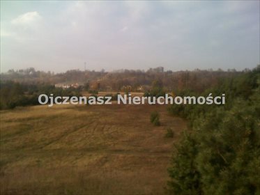 działka na sprzedaż 60000m2 działka Tomkowo