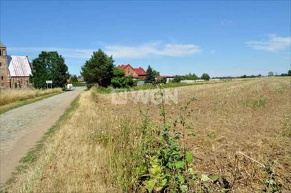 Działka rolna na sprzedaż Piersna, Piersna 4 400m2 Foto 2