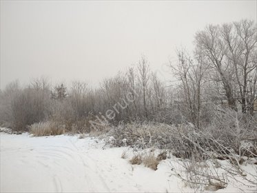 działka na sprzedaż 2700m2 działka Grodzisk Mazowiecki