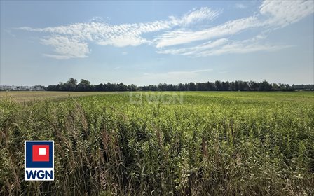 działka na sprzedaż 26339m2 działka Wrocław, Muchobór Wielki, Gagarina