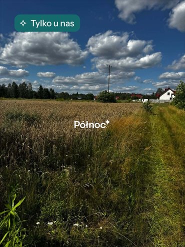 Działka 1,18 ha z warunkami zabudowy - polecam! działka Bedlno