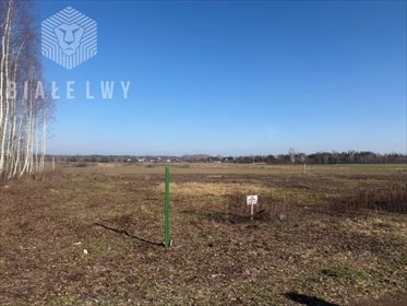 działka na sprzedaż 1300m2 działka Walendów, Gwiaździsta
